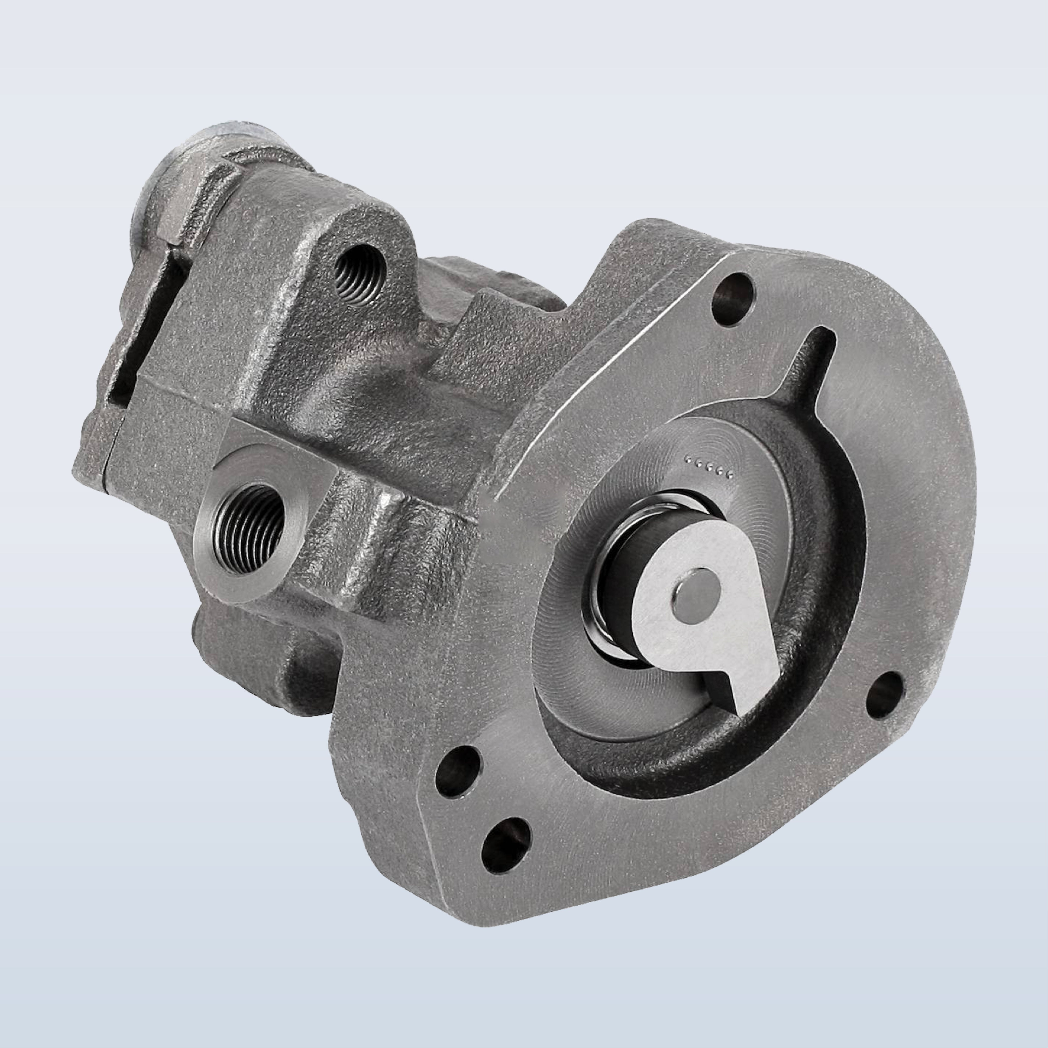 FUEL PUMP & FEED PUMP GAS KIT