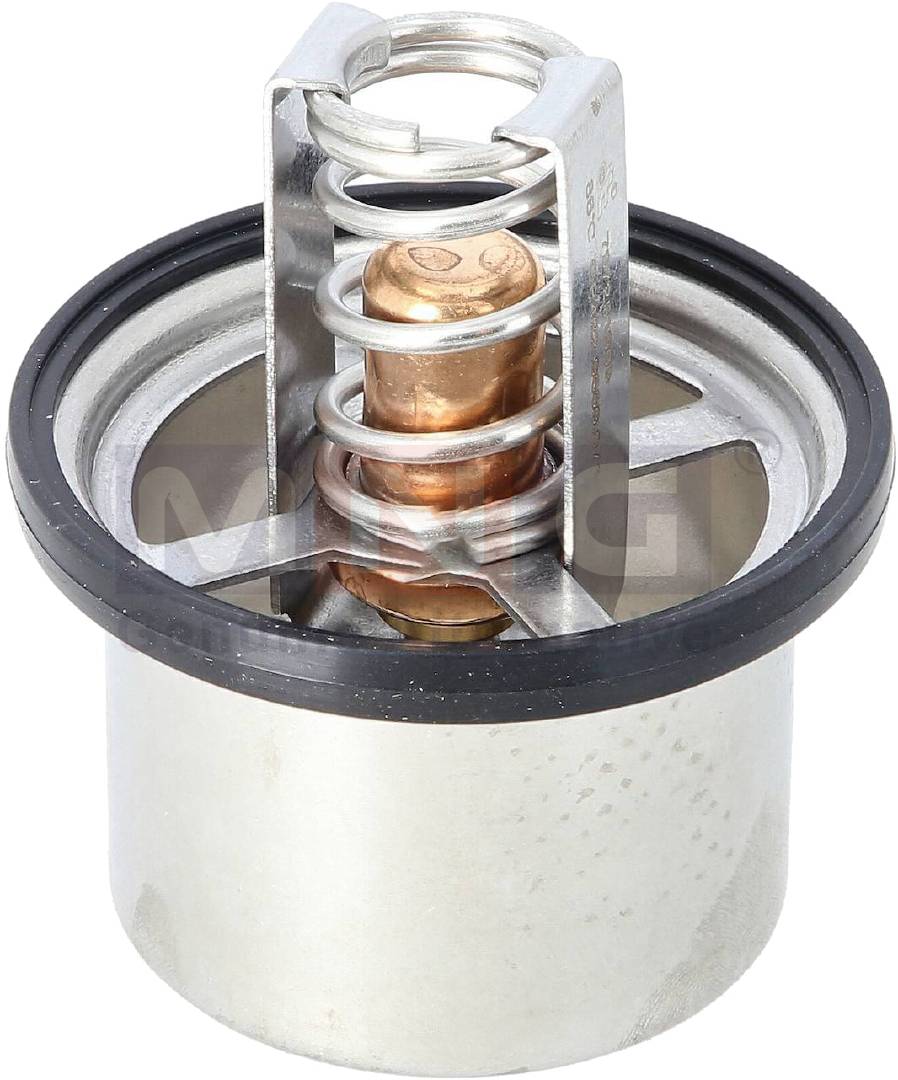 504096443-MNG-THERMOSTAT-IVECO