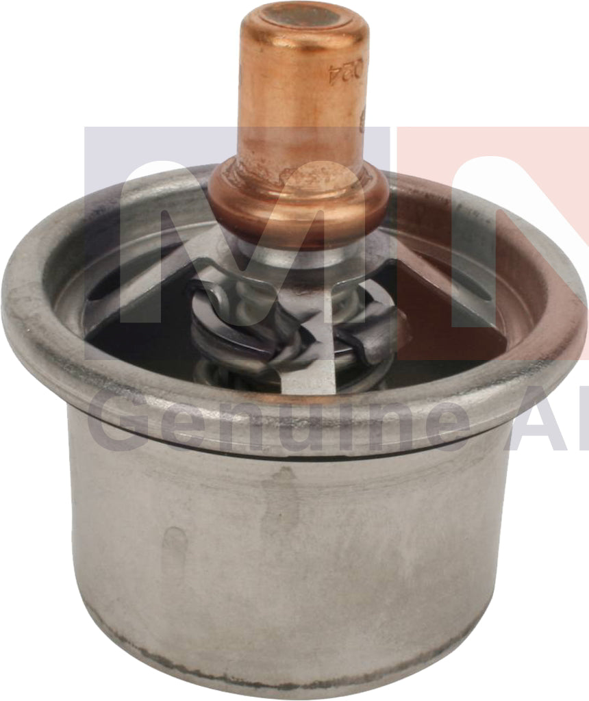 1298979-Thermostat-DAF