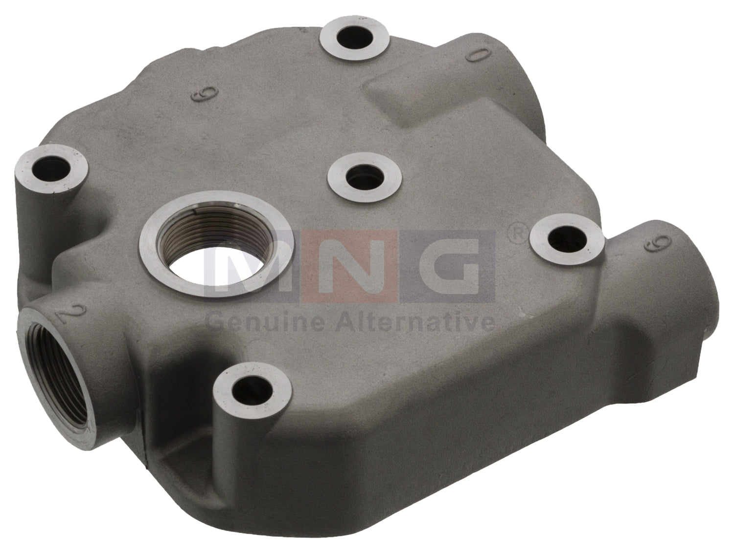 MNG Spare Parts 176-038 replaces Cylinder Head With Gasket Mercedes 4421303219, 4421303119, 4421310119