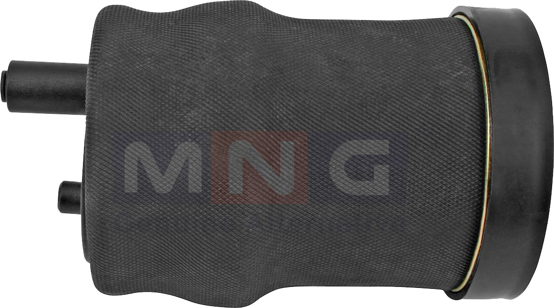 5010130797-AirSpring-Renault