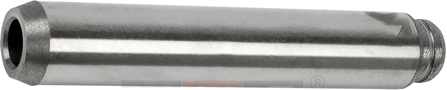 5010550146-ValveGuide-Renault
