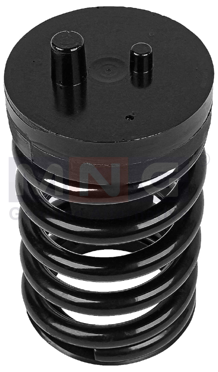 5010629785-AirSpring-Renault